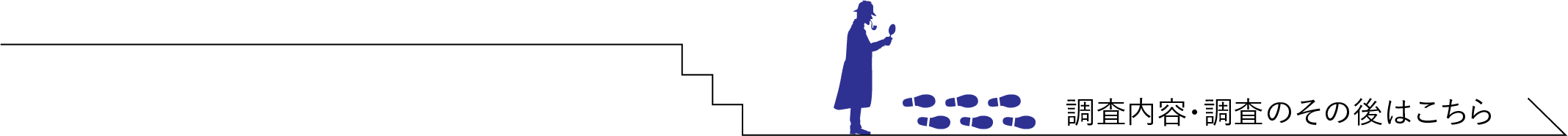 調査内容・調査のその後はこちら